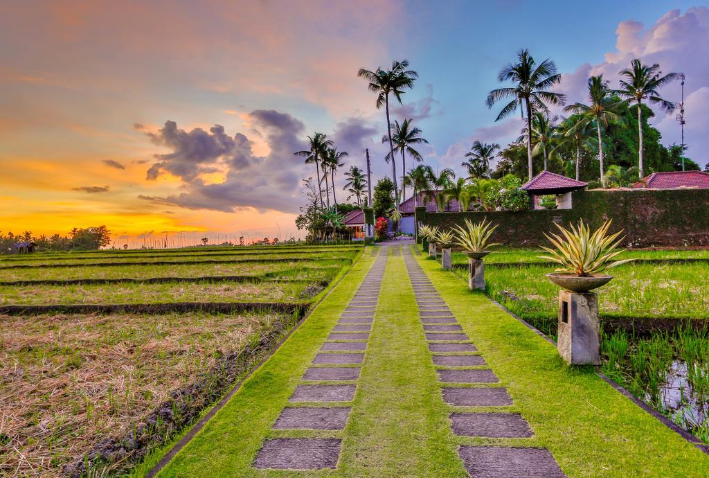 Villa Kaba Kaba Resort Canggu  Exterior photo